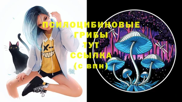 гашик Абаза