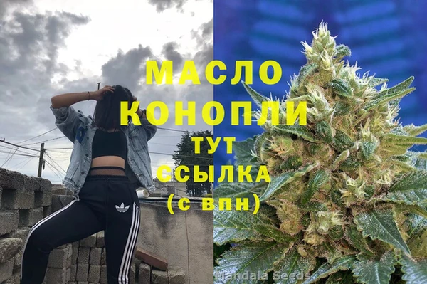 гашик Абаза