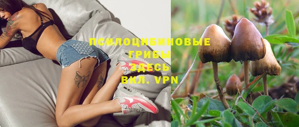 бошки Абдулино