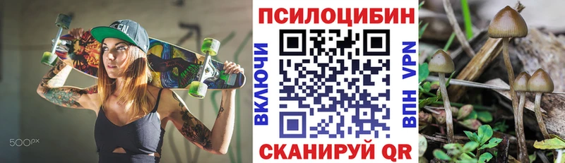 mega ONION  Новочебоксарск  Псилоцибиновые грибы мицелий 