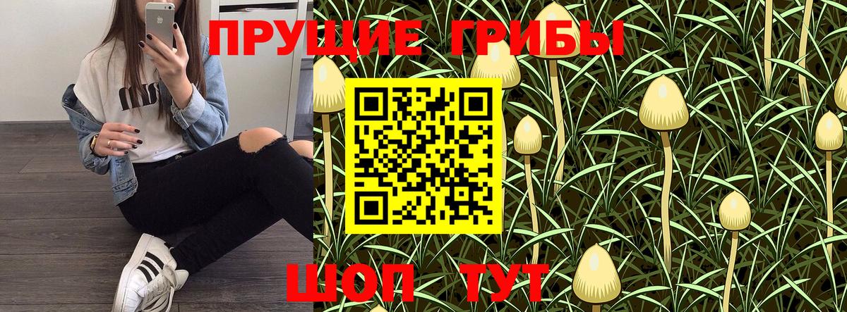цены   Псилоцибиновые грибы Magic Shrooms  Вход с VPN  Новочебоксарск 
